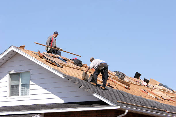 Best Cold Roofs  in Wyoming, PA